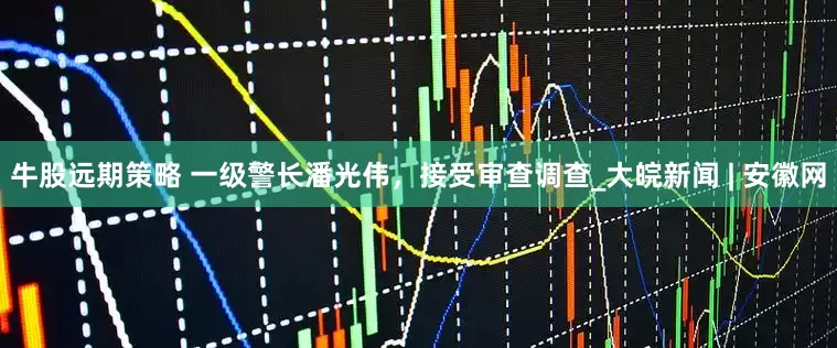牛股远期策略 一级警长潘光伟，接受审查调查_大皖新闻 | 安徽网