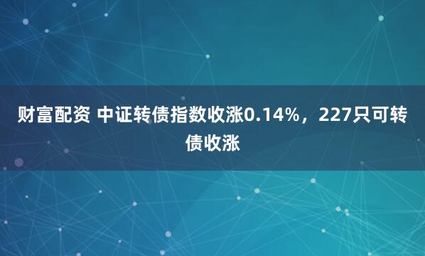 财富配资 中证转债指数收涨0.14%，227只可转债收涨