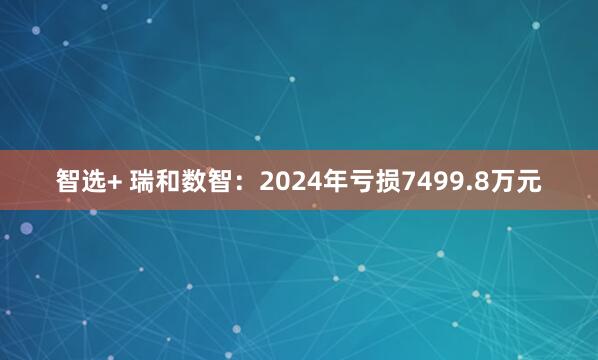 智选+ 瑞和数智：2024年亏损7499.8万元