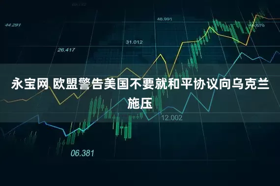 永宝网 欧盟警告美国不要就和平协议向乌克兰施压